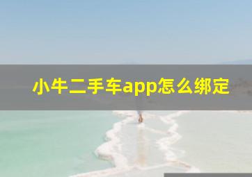 小牛二手车app怎么绑定