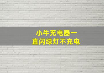 小牛充电器一直闪绿灯不充电