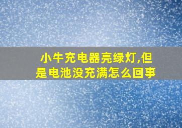 小牛充电器亮绿灯,但是电池没充满怎么回事