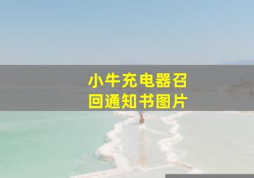 小牛充电器召回通知书图片