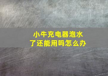 小牛充电器泡水了还能用吗怎么办