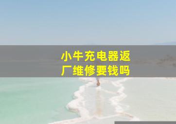 小牛充电器返厂维修要钱吗