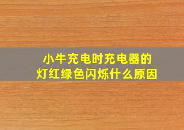 小牛充电时充电器的灯红绿色闪烁什么原因