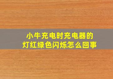 小牛充电时充电器的灯红绿色闪烁怎么回事