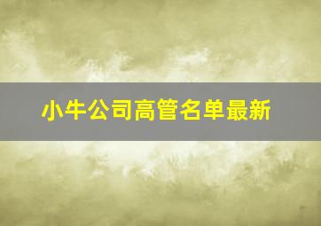 小牛公司高管名单最新