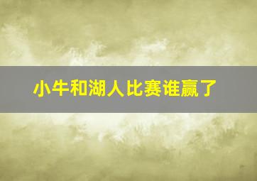 小牛和湖人比赛谁赢了