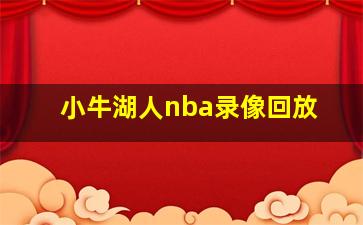 小牛湖人nba录像回放