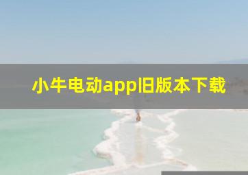 小牛电动app旧版本下载