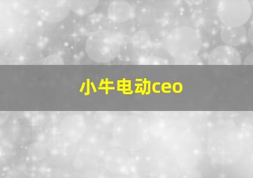 小牛电动ceo