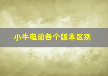 小牛电动各个版本区别