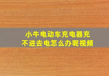 小牛电动车充电器充不进去电怎么办呢视频