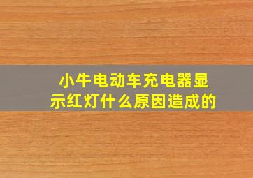 小牛电动车充电器显示红灯什么原因造成的