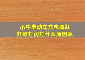 小牛电动车充电器红灯绿灯闪烁什么原因呢