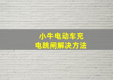 小牛电动车充电跳闸解决方法