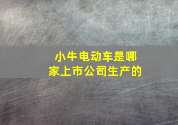 小牛电动车是哪家上市公司生产的