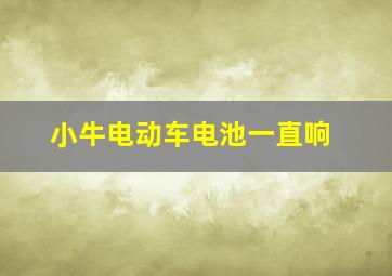 小牛电动车电池一直响