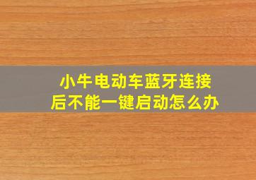 小牛电动车蓝牙连接后不能一键启动怎么办