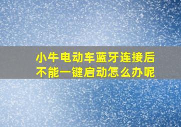 小牛电动车蓝牙连接后不能一键启动怎么办呢