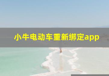 小牛电动车重新绑定app