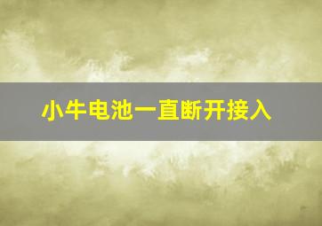 小牛电池一直断开接入