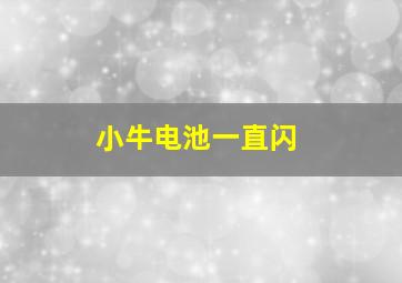 小牛电池一直闪