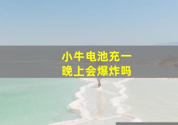 小牛电池充一晚上会爆炸吗