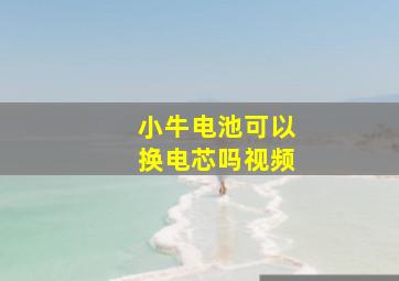 小牛电池可以换电芯吗视频