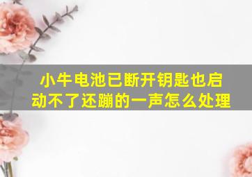 小牛电池已断开钥匙也启动不了还蹦的一声怎么处理