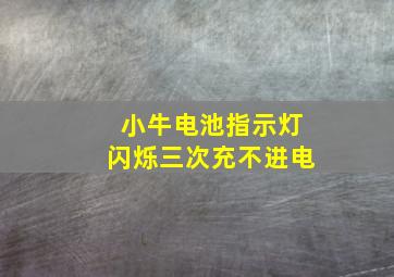 小牛电池指示灯闪烁三次充不进电