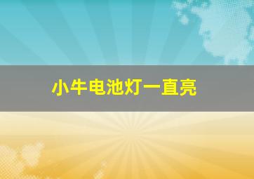 小牛电池灯一直亮