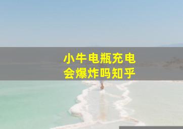 小牛电瓶充电会爆炸吗知乎