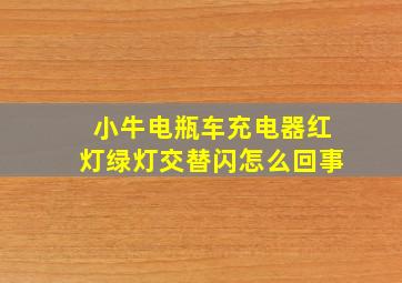 小牛电瓶车充电器红灯绿灯交替闪怎么回事