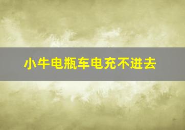 小牛电瓶车电充不进去