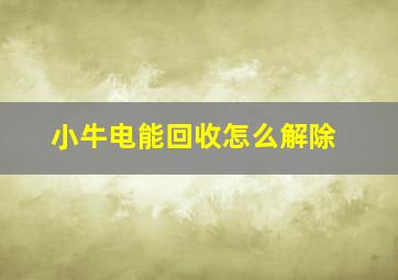 小牛电能回收怎么解除