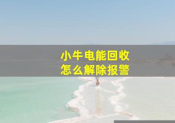 小牛电能回收怎么解除报警