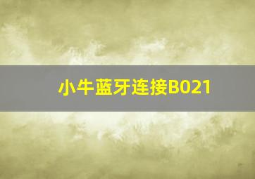 小牛蓝牙连接B021