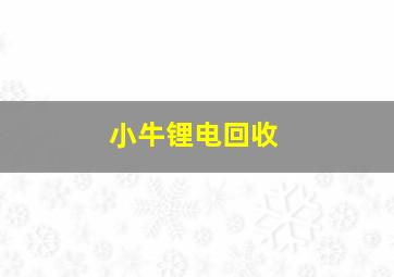 小牛锂电回收