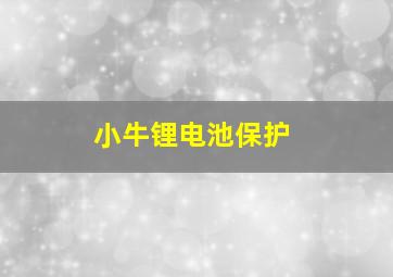 小牛锂电池保护