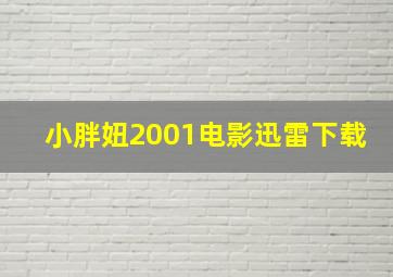 小胖妞2001电影迅雷下载