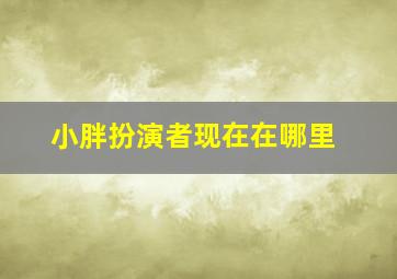 小胖扮演者现在在哪里