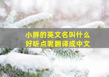 小胖的英文名叫什么好听点呢翻译成中文