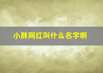 小胖网红叫什么名字啊