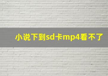 小说下到sd卡mp4看不了