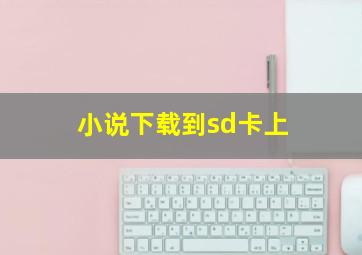 小说下载到sd卡上