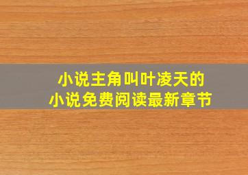 小说主角叫叶凌天的小说免费阅读最新章节