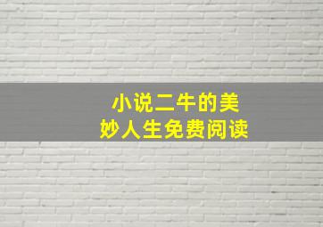 小说二牛的美妙人生免费阅读