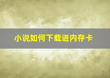 小说如何下载进内存卡