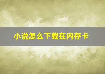 小说怎么下载在内存卡