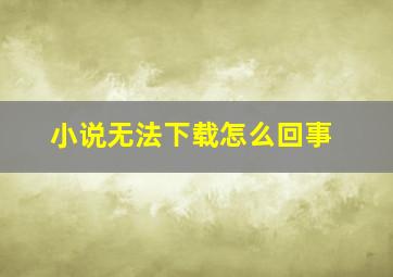 小说无法下载怎么回事