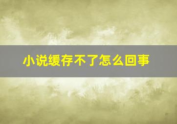 小说缓存不了怎么回事